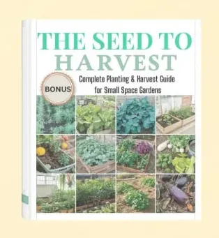 The 5-Minute Garden-bonus-7 Lazy Millionaire Habits
