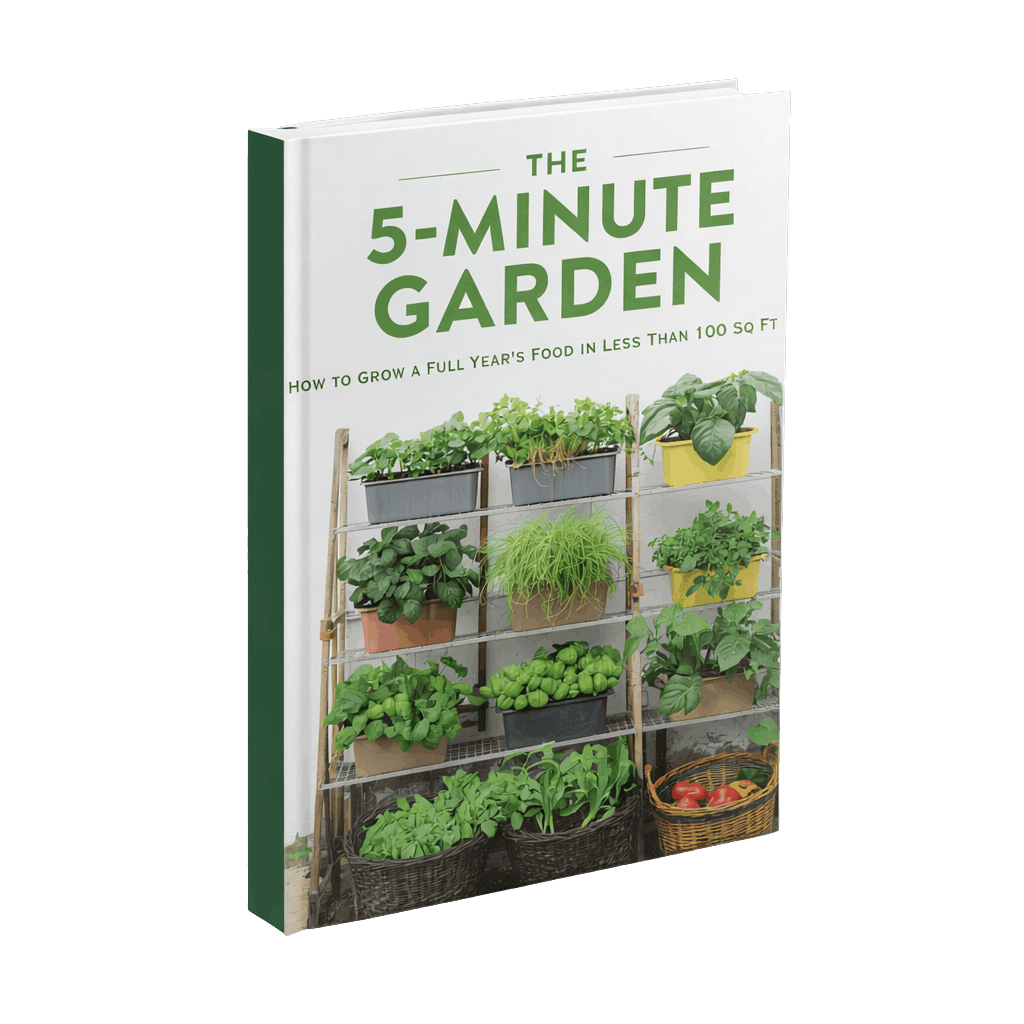 The 5-Minute Garden